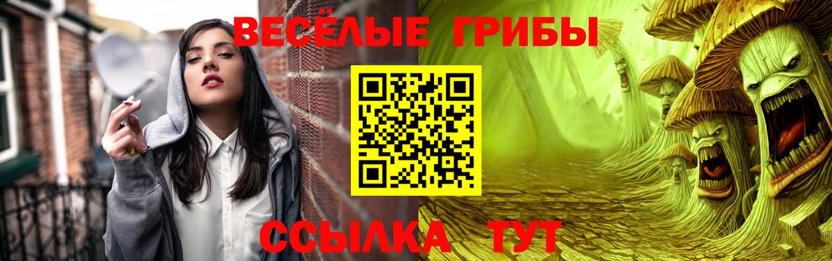 Гай  Псилоцибиновые грибы MAGIC MUSHROOMS  Вход с VPN 